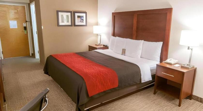 Comfort Inn Quantico Stafford Exterior foto
