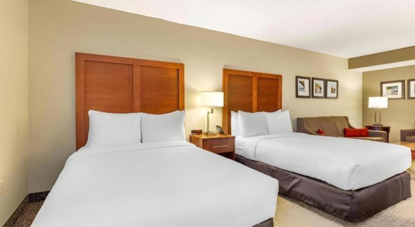 Comfort Inn Quantico Stafford Exterior foto