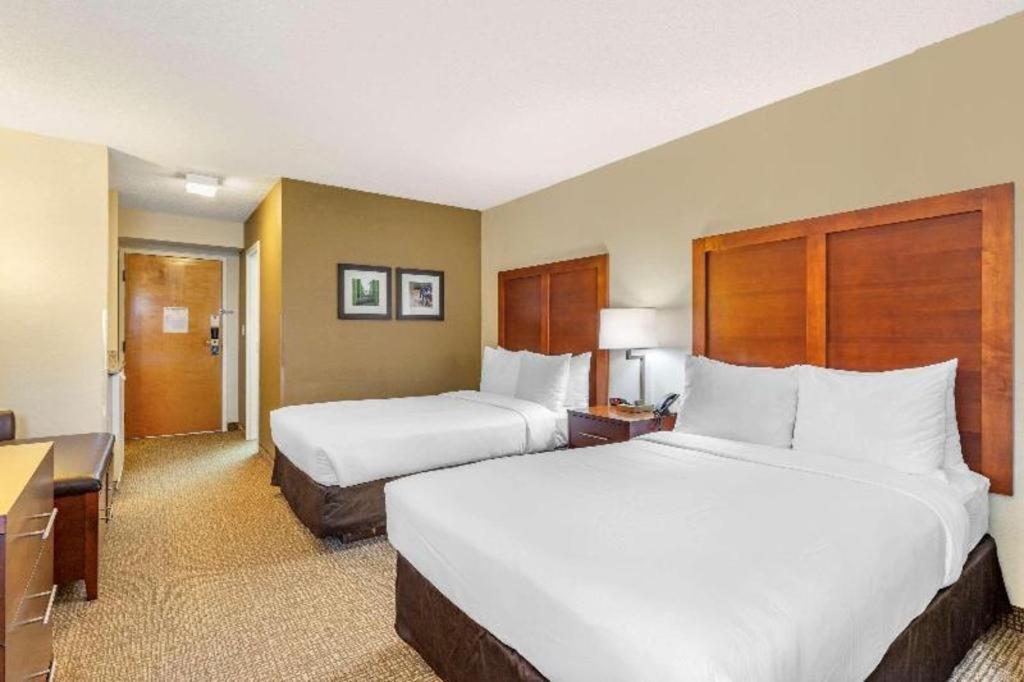 Comfort Inn Quantico Stafford Exterior foto