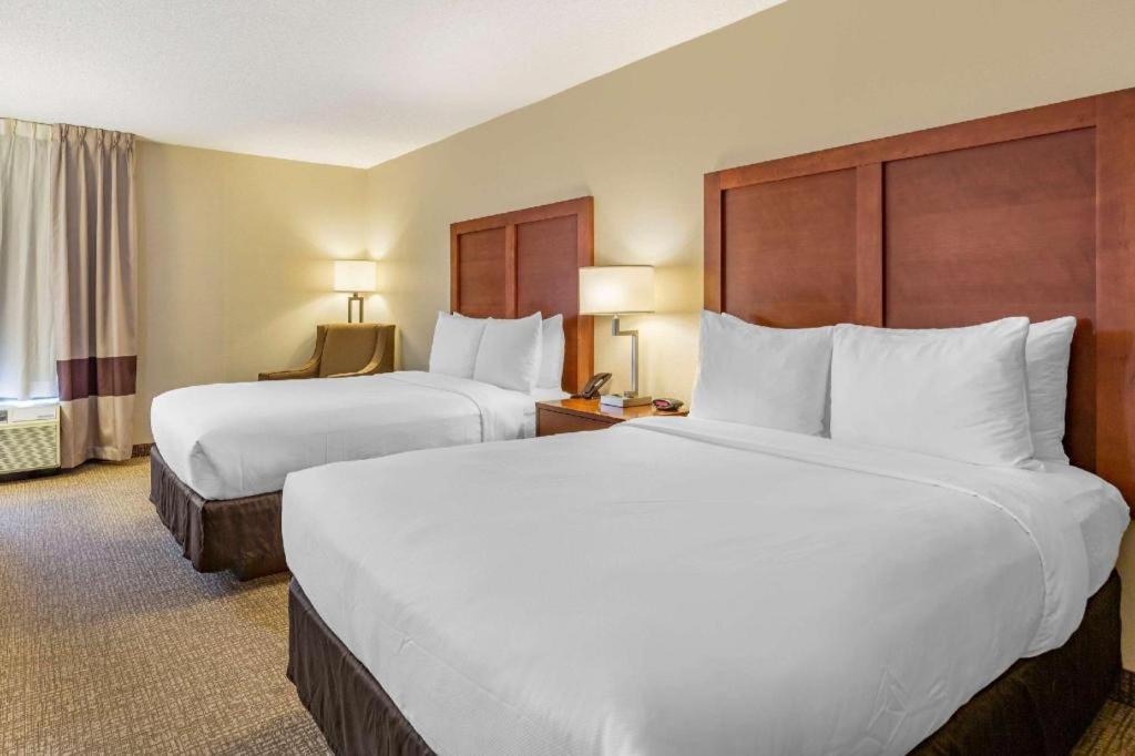 Comfort Inn Quantico Stafford Exterior foto